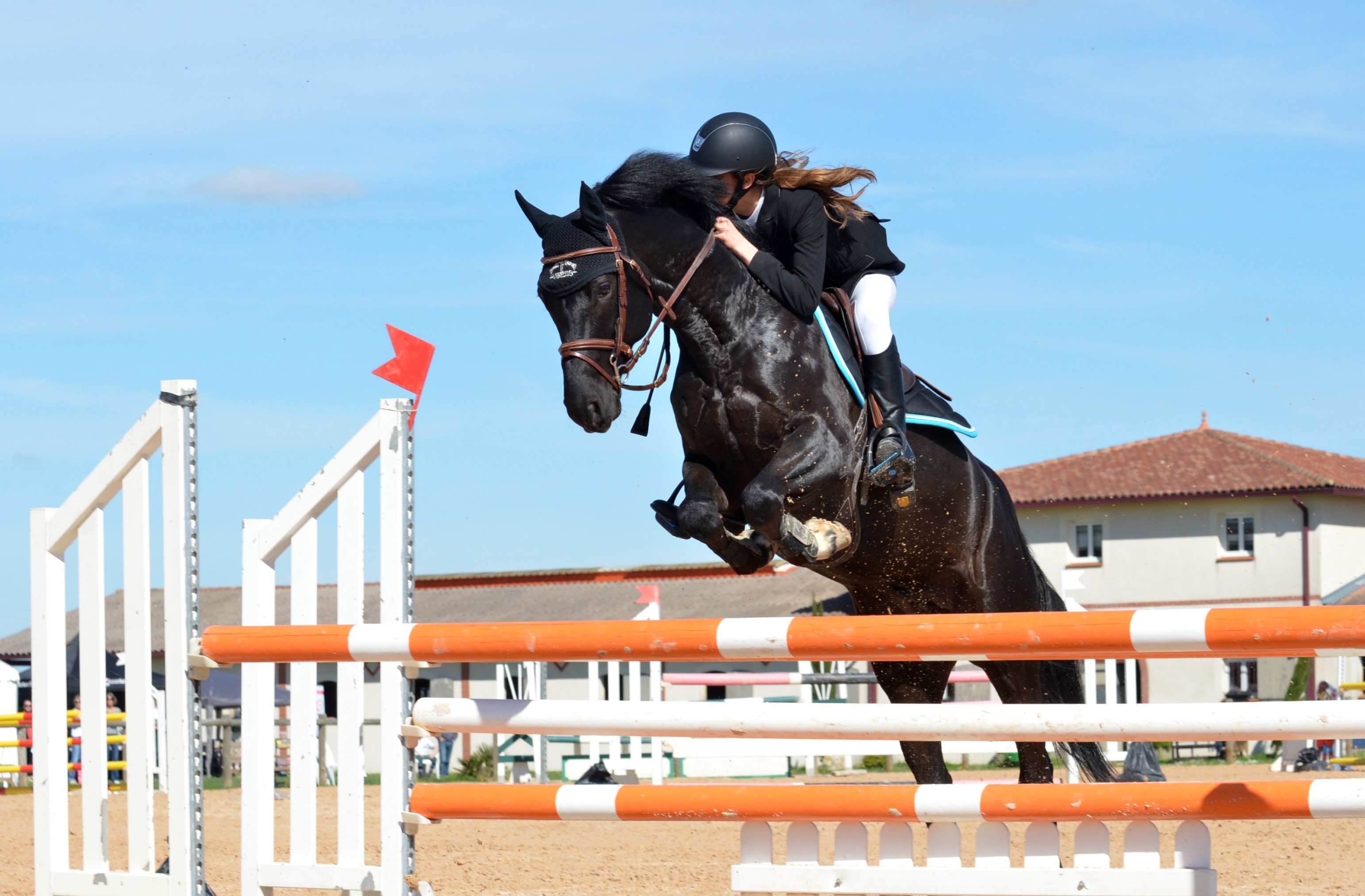 Person Sport Recreation Jumping Horse Stallion 1231795 Pxhere Com