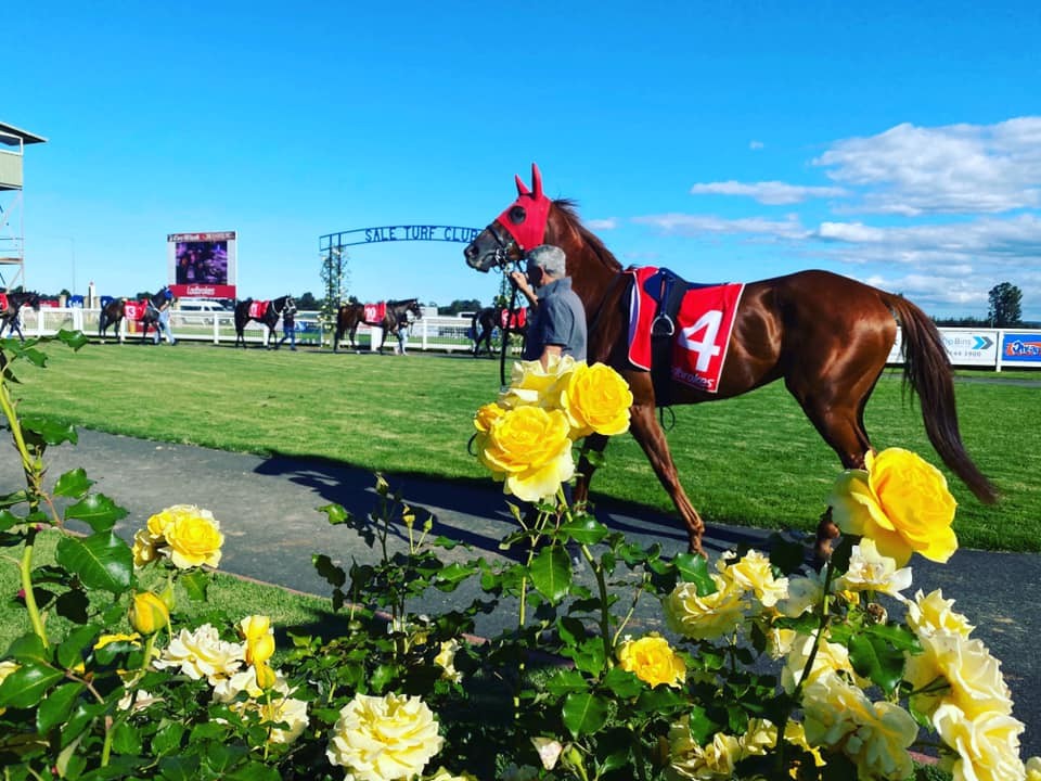 Sale Turf Club